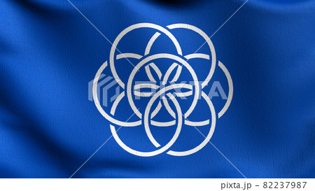 the international flag of planet earth