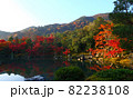京都 天龍寺 秋の風景 82238108