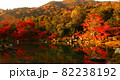 京都 嵐山 天龍寺 秋の風景 82238192