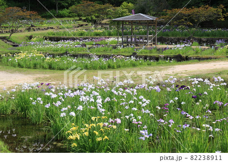 矢野温泉公園　四季の里　5 82238911