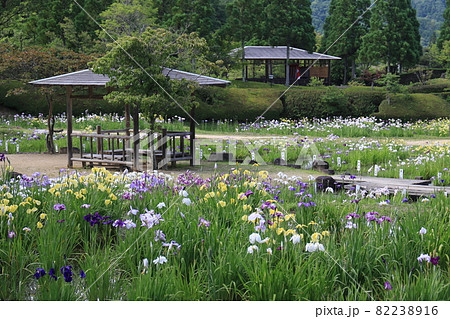 矢野温泉公園　四季の里　10 82238916