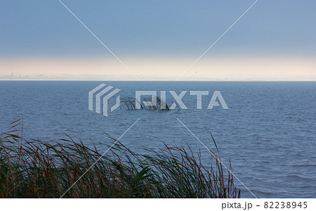 Dark Stormy Seascape with Sunlight on the Horizon 82238945