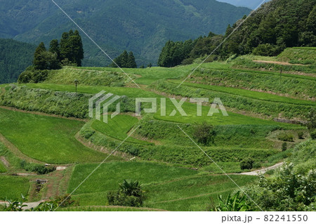 棚田百選に選ばれている高須の棚田 82241550