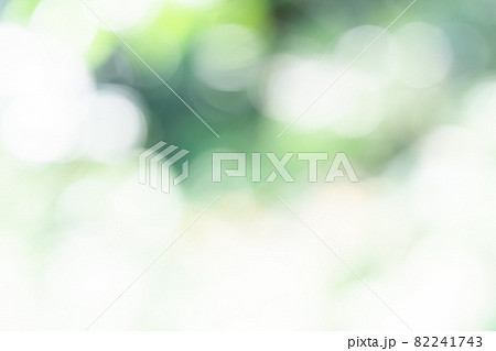 新緑　ぼかし　玉ボケ 82241743
