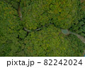 群馬県　野反湖　自然　ドローン　空撮　広告　素材　 SNS　日本　 82242024