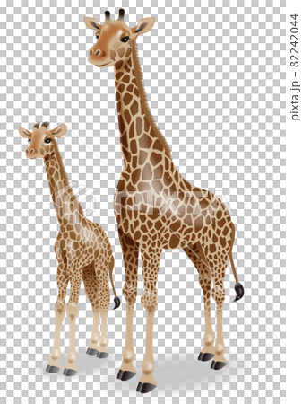 キリンのイラスト 82242044