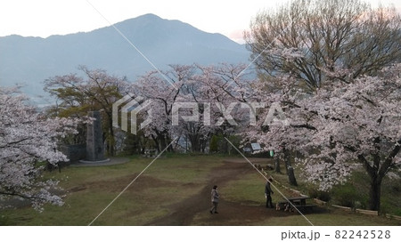 桜と山 82242528