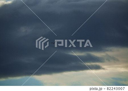 初秋の朝空・朝日に照らされた雲・210908am 初秋の朝空・朝日に照らされた雲・210908am 82243007