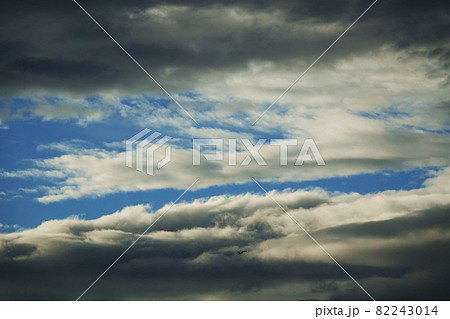 初秋の朝空・朝日に照らされた雲・210908am 初秋の朝空・朝日に照らされた雲・210908am 82243014