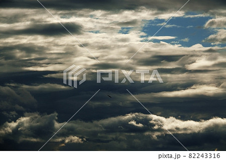 初秋の朝空・朝日に照らされた雲・210908am 初秋の朝空・朝日に照らされた雲・210908am 82243316