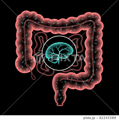 Gut Brain 3D 82243389