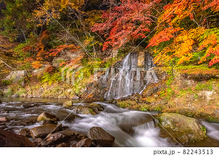 夜の紅葉狩り 夜の紅葉狩り 82243513