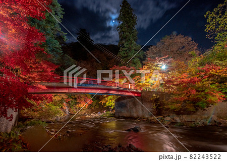 夜の紅葉狩り 82243522