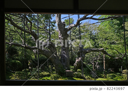 八瀬大原宝泉院 82243697