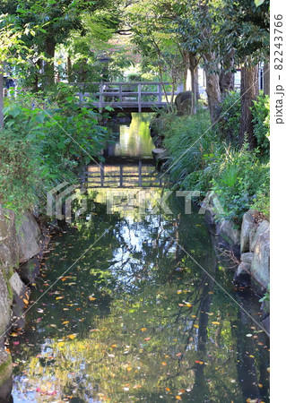 葛西用水路　東京都足立区～葛飾区亀有 82243766