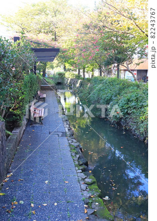 葛西用水路　東京都足立区～葛飾区亀有 82243767