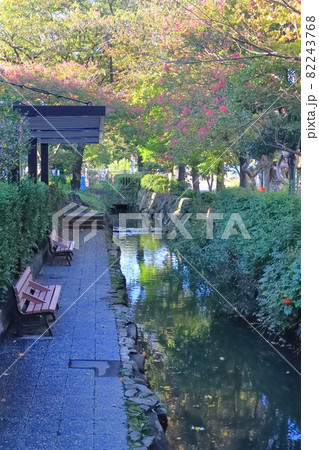 葛西用水路　東京都足立区～葛飾区亀有 82243768