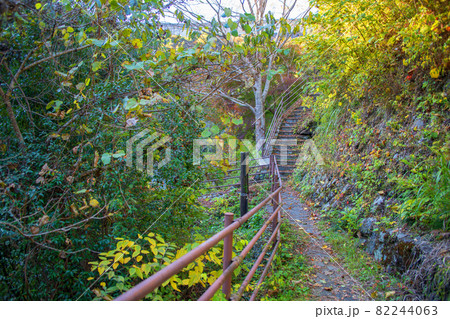 三波石峡入口付近 秋の風景 紅葉の季節 三波石峡入口付近 秋の風景 紅葉の季節 82244063