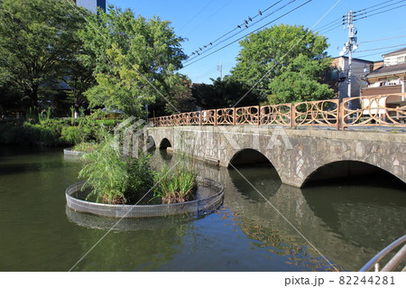 東和親水公園 東京都足立区東和 東和親水公園 東京都足立区東和 82244281