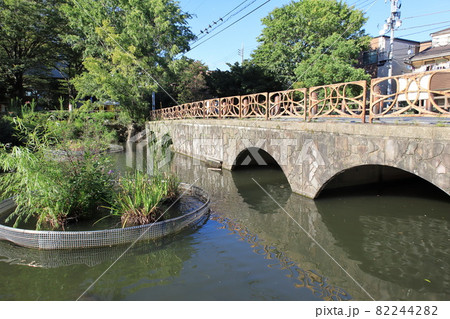東和親水公園　東京都足立区東和 82244282