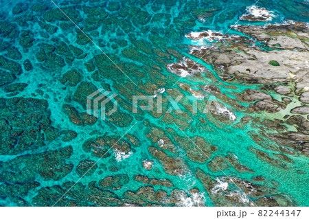 屋久島　栗生のサンゴ礁 82244347