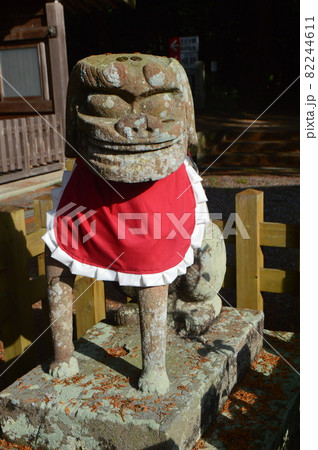 よだれ掛けを付けた狛犬（大麻比古神社／徳島県鳴門市大麻町板東字広塚13） 82244611