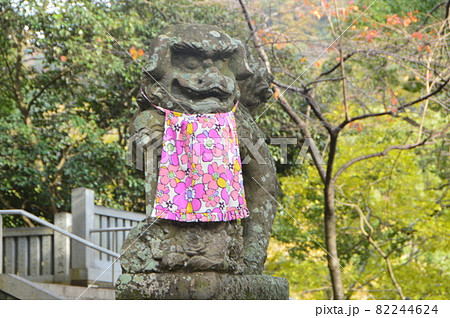 よだれ掛けを付けた狛犬（大麻比古神社／徳島県鳴門市大麻町板東字広塚13） 82244624
