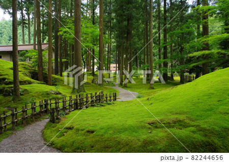 日用苔の里 石川県小松市日用町 日用苔の里 石川県小松市日用町 82244656