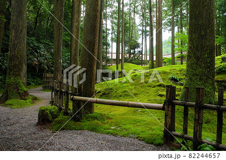 日用苔の里 石川県小松市日用町 日用苔の里 石川県小松市日用町 82244657