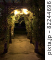 夜の小道 82244696