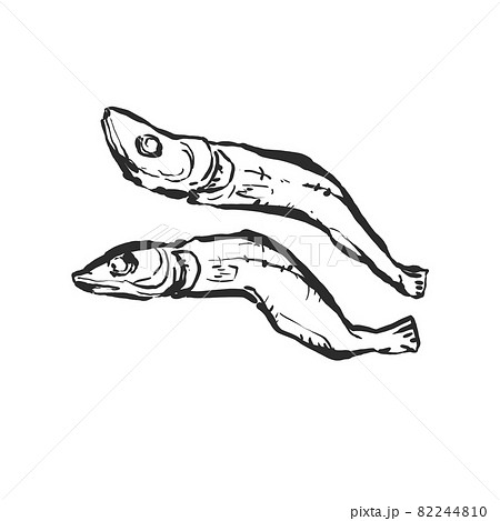 煮干しの手描き筆絵風イラスト 煮干しの手描き筆絵風イラスト 82244810