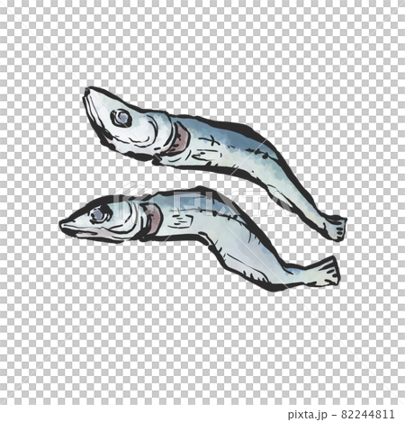 Niboshi 手繪毛筆繪畫風格插畫 Niboshi 手繪毛筆繪畫風格插畫 82244811