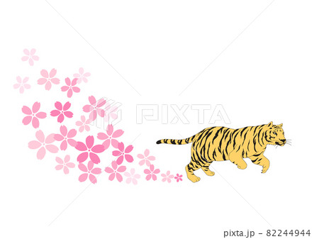 躍動する虎と桜のイラスト 躍動する虎と桜のイラスト 82244944