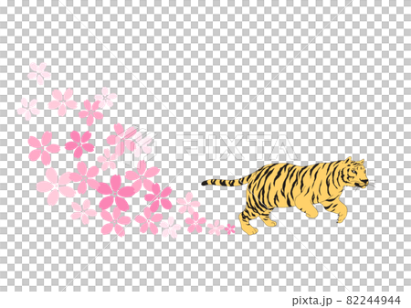 Illustration of a dynamic tiger and cherry blossoms Illustration of a dynamic tiger and cherry blossoms 82244944