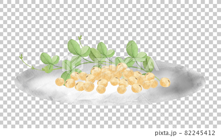 盤子水彩畫中的大豆和葉子 82245412