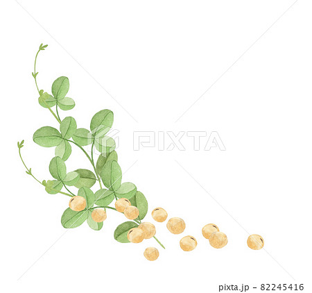 大豆と葉のフレーム　水彩イラスト 82245416