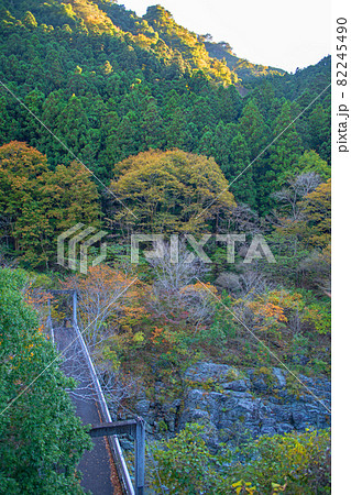 三波石峡入口付近　遊歩道からの眺め　秋の風景　紅葉の季節　　 82245490
