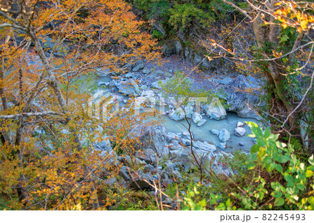 三波石峡入口付近 遊歩道からの眺め 秋の風景 紅葉の季節 三波石峡入口付近 遊歩道からの眺め 秋の風景 紅葉の季節 82245493