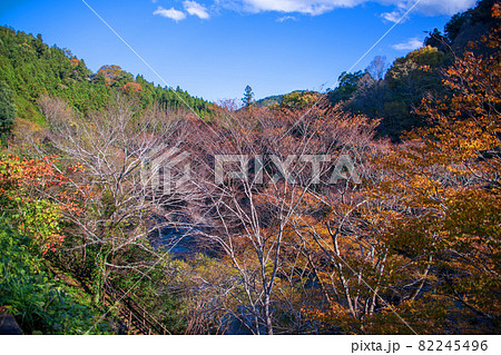 三波石峡入口付近　遊歩道からの眺め　秋の風景　紅葉の季節　　 82245496