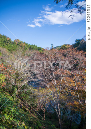 三波石峡入口付近 遊歩道からの眺め 秋の風景 紅葉の季節 三波石峡入口付近 遊歩道からの眺め 秋の風景 紅葉の季節 82245512