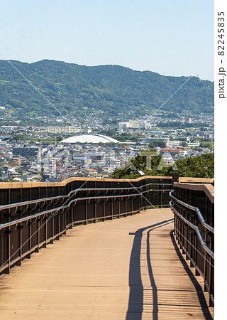 神奈川県立  おだわら諏訪の原公園　空中歩道からの眺望 82245835