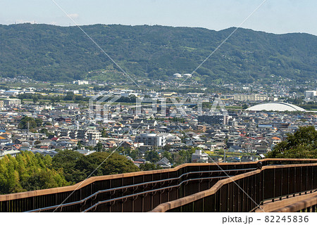 神奈川県立  おだわら諏訪の原公園　空中歩道からの眺望 82245836