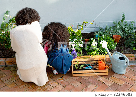 Back view of african american mother and daughter planting flowers 82246082