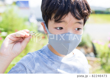 カエルを捕まえる男の子 82246473