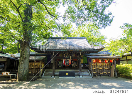 等々力不動尊 82247614