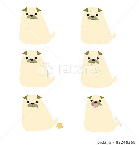 Pug-_パグ 82248269