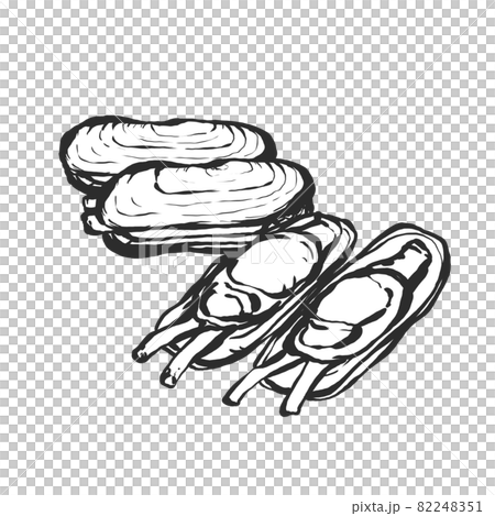 Hand-painted brush painting style illustration of Sinonovacula Hand-painted brush painting style illustration of Sinonovacula 82248351