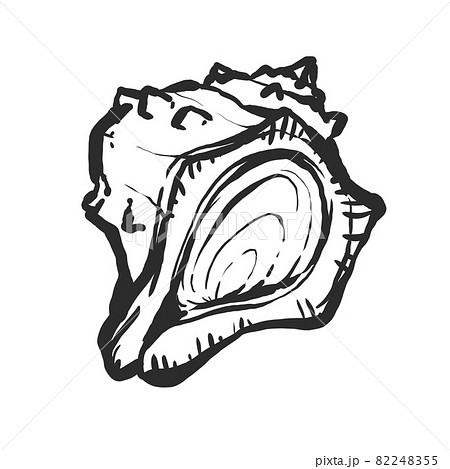 アカニシ貝の手描き筆絵風イラストのイラスト素材 [82248355] - PIXTA