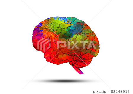Abstract image of Colorful brain on white background. Abstract image of Colorful brain on white background. 82248912