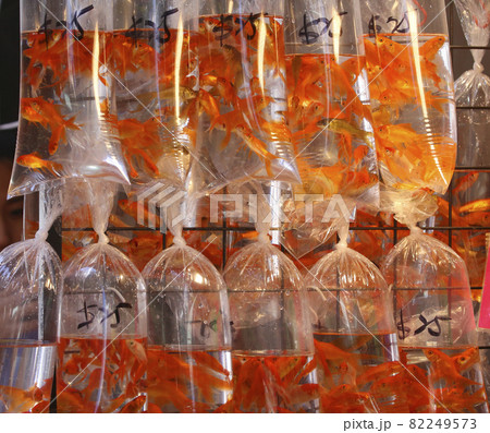 香港・通菜街(金魚街)で、ビニール袋に入れられて売られる金魚 香港・通菜街(金魚街)で、ビニール袋に入れられて売られる金魚 82249573